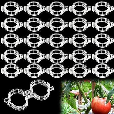 120Pcs Plant Support Clips, Tomato Clips for Climbing Plants, Reusable Plastic Garden Trellis Clips for Vine Vegetables Grape Tomato Cucumber to Grow Upright Healthier (