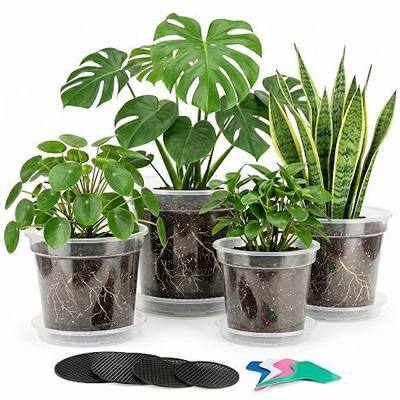 Zonara Clear Nursery Pots with Drainage 12 Pack, 5/6/7/8 Inch Transparent Plastic Plant Pots with Saucers, Mesh Pads & Plant Tags, Reusable Pots for Indoor Plants, Seedlings (5/6/7/8 Inch)