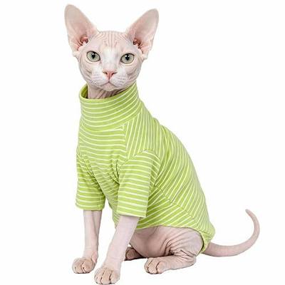 Sphynx Cat Clothes for Cats Only, Narrow Striped Sphynx Shirt Clothes T-Shirts Sweatshirt with Sleeves, Soft Kitten Sphinx Clothes Pet Apparel Devon Rex,Cornish Rex,Peterbald,Green,L