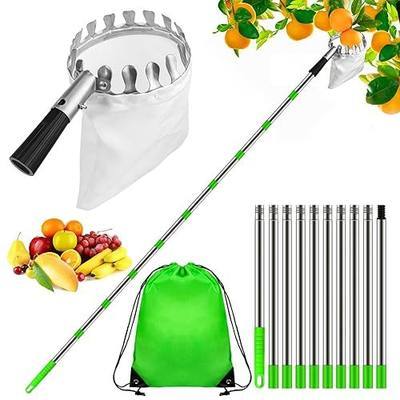 13.1FT Fruit Picker Pole with Basket Telescoping - Tree Fruit Picker Tool with Stainless Steel Pole and Storage Bag for Apple, Mango, Avocado, Orange, Pear, Lemon, Etc (Green)