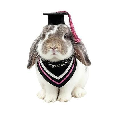 Rabbit Graduation Cap and Gown Set - Adjustable Mini Graduation Caps with Tassels Small Animal Bachelor Hats for Bunny Guinea Pig Kitten Puppy Photo Props Holiday Costume Accessories (Pink, Medium)