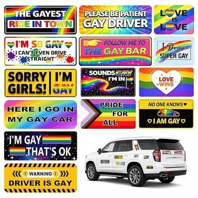14PCS Funny LGBT Car Magnets Set, Gay Pride Rainbow Magnetic Bumper Stickers, Waterproof Prank Magnetic Sign Car Decals for Vehicles, Trucks, Fridge, LGBT Pride Gifts Accessories