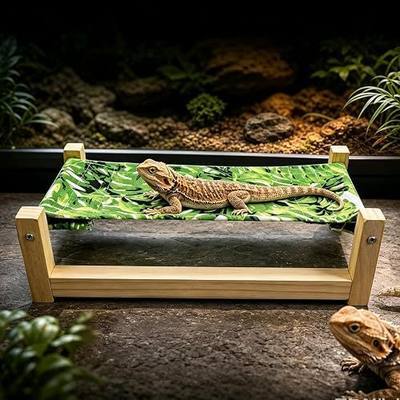 Bearded Dragon Bed, Wooden Reptile Hammock, Hanging Sleeping Lounger, Safe Natural Wood Resting Place for Lizard, Leopard Gecko, Snake, and Other Small Animals (Green, Large)