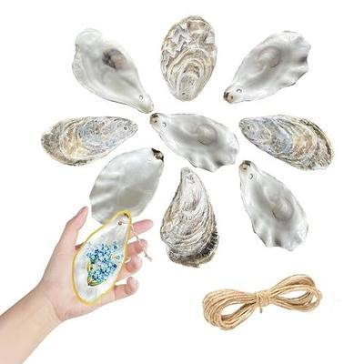 16Pcs 3"-4" Oyster Shells for Crafts, Natural Large Flat Oyster Shells with Holes Drilled & Jute Rope for DIY Crafting,Bulk Sea Shells for Ornaments Decoupage Beach Home Decor,Chicken (Small)