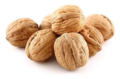 Anna and Sarah Bulk Premium Natural Walnuts in Shell Box, California 12 Lbs | Jumbo, Fresh, Buttery Taste, Easy to Crack, Natural Shells, Kosher, In Box