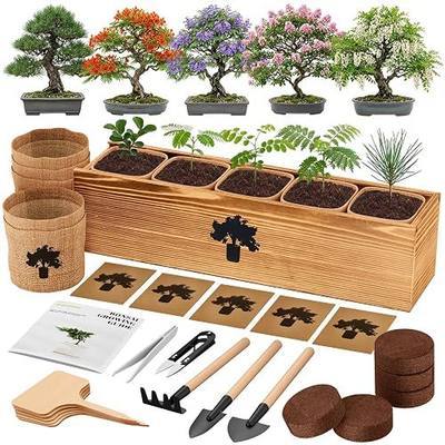 Bonsai Tree Kit - Complete Indoor Bonsai Starter Kit with 5 Unique Tree Seeds, Bonsai Tools - DIY Gardening Gift for Adults Women Men, Mom, Her, Friend (5 Bonsai Trees)