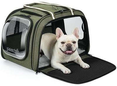 Pecute Cat Carrier with Bubble Window & Sunshade for Dogs Cats, Green XL | Dual bubble windows & top sunshade, 70% more airflow mesh, Impact-resistant stable frame, Locking zippers, Fits up to 20 lbs