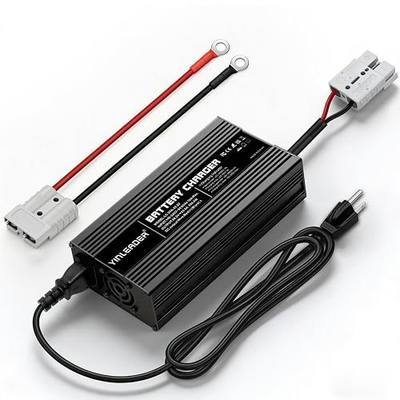 12V Lithium Battery Charger 20A, 14.6V LiFePO4 Battery Charger with 0V Activation Function, AC-DC 12V Battery Charger with Anderson Connector & LED Indicator for RVs, Golf Cart, Boat, Off-Grid, Homes