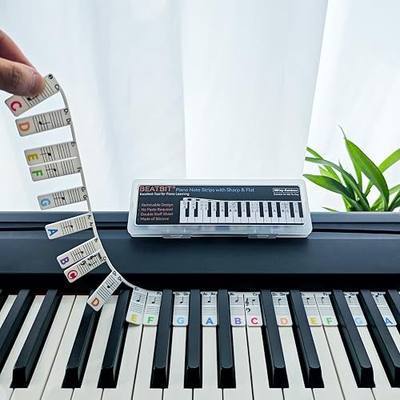 BEATBIT Piano Note Strips with Sharp & Flat | Full Note Labels for White & Black Keys | No Stickers Removable Guide for 88/76 Key Piano Beginners (88Key-Rainbow)