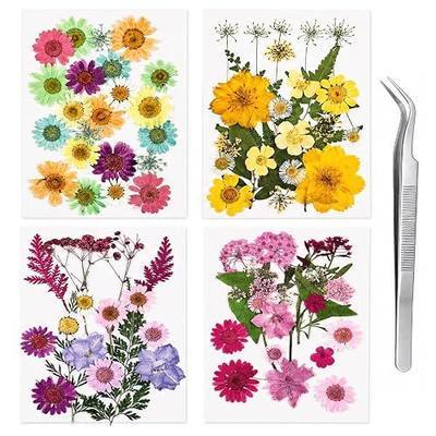 80Pcs Dried Pressed Flowers for Resin, Real Natural Flowers & Leaves Set with Curved Tweezers, for DIY Crafts, Epoxy Resin Jewelry, Scrapbooking, Candle & Soap Making