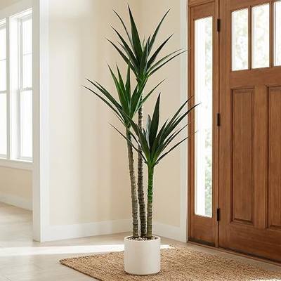 Pre-Potted Artificial Tropical Agave Plant-5ft3in, UV Resistant Fake Tree | 3-Head Stereo Design, Natural & Layered Look, Anti-Aging Indoor & Outdoor Use, Waterproof & Easy to Clean, Fit for All Styles