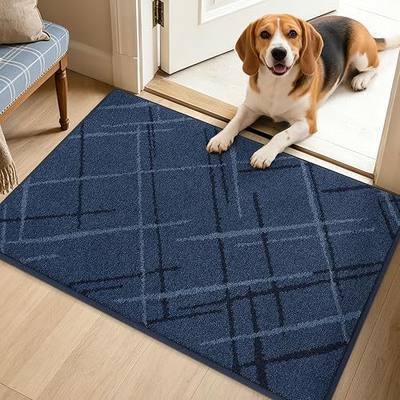 BEQHAUSE Door Mat 24" x 36", Non Slip Entryway Rugs Washable, Blue | Dirt Trapper Front Door Mat ,Low Profile Absorbent Floor Mats for Front Back Door and Entryway