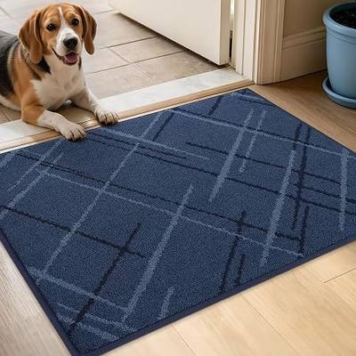 BEQHAUSE Door Mat 20" x 32", Non Slip Entryway Rugs Washable, Blue | Dirt Trapper Front Door Mat ,Low Profile Absorbent Floor Mats for Front Back Door and Entryway