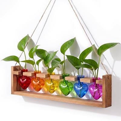 Remerry Rainbow Party Decoration Colorful Plant Terrarium with Wooden Stand 6 Heart Glass Vases Planter Propagation Station Tabletop Planter for Hydroponics Decor Plant Lover Gift