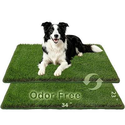 Artificial Grass,Odor Free Dog Grass Mat,Puppy Potty Training Pad | Strong Absorbency Grass Pad with Countless Drainage Holes,Soft,Realistic,Hemmed Edge,Easy to Clean(2PCS)