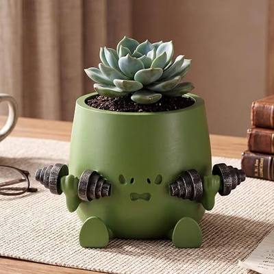 LemonRoad Exercise Happy Face Pot for Indoor Outdoor 3'' Cute Resin Flower Head Flowerpot Succulent Pot with Drainage Hole for Home Office Decor Birthday Holiday (Green)