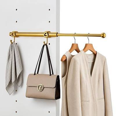 12" Valet Rod for Closets Pull Out, Closet Valet Rod Slide Out with 2 Hooks, Brushed Gold