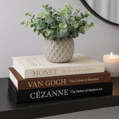 Decorative Books for Home Decor, Living Room Coffee Table Decor Books | Fake books Set of 3, MONET, Van Gogh, Hidden Storage, Linen Cover, Gold Letters