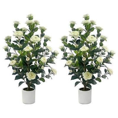 2 Pack Artificial Camellia Tree, 3FT Faux Flowering Camellia Plant Indoor Outdoor, Realistic Silk Artificial Flower in Planter, Greenery Faux Fake Tree Plant for Home Office Porch Patio Decor, White