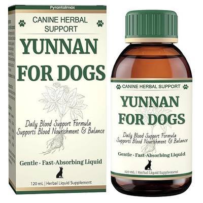 yunan Sanqi Liquid for Dogs – Pure Herbal Oral Quick Stop Bleeding for Dogs & Daily Blood Support for Hemangiosarcoma, Hemoabdomen, Ulcers, Post-Surgery Recovery & Chronic Care – 120ml