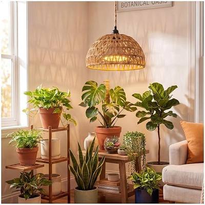 Boho Decorative Hanging Grow Light, Pendant Plant Light for Indoor Plants, Ceiling Grow Lamp with 24H Timer for Plant Corner Bedroom Living Room