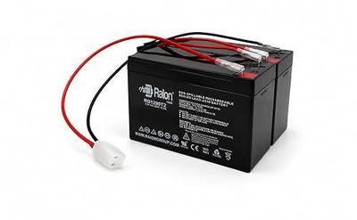 Raion Power 24V 9Ah Battery Pack for Razor Pocket Mod Scooter E275 E300 E325 MX350, Extended Range SLA AGM Replacement Kit with Wiring Harness, Fuse & Connector for Bella, Betty, Bistro, Daisy & Vapor
