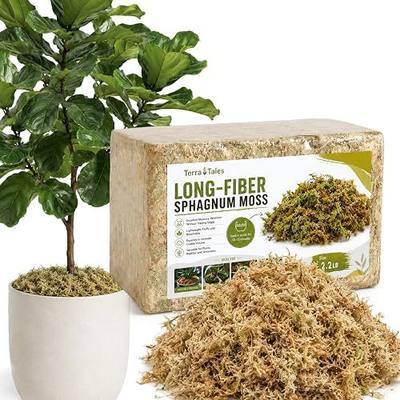 2.2LB Natural Long Fiber Sphagnum Moss Compressed Brick Expands to 60QT, Premium Orchid Moss for Repotting, Carnivorous Plants, Propagation, Moss Pole, Terrarium, Indoor Outdoor Gardening