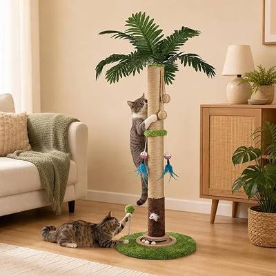 Cat Scratching Post for Indoor Cat Adult, 35 Inch Tall Tree Scratching Post | Sisal Large Cat Scratching Post with Interactive Cat Toy, Mouse Hole & Ball Track for Kittens Cats, Upgrade Suction Cup Base