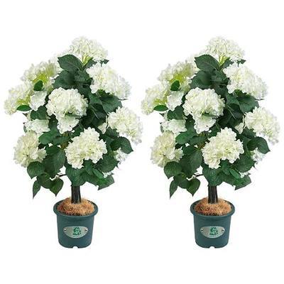 31" Artificial Hydrangea Tree in Pot, Faux Hydrangea Topiary Plant, UV Resistant Indoor Outdoor Potted Flower Tree for Front Porch, Patio, Entryway, Living Room Decor (2, White)