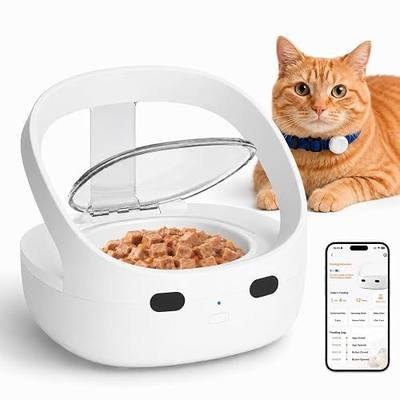 RFID Cat Feeder for Multiple Cats, Stops Food Stealing, Wet & Dry Food | RFID collar tag access, helps reduce food stealing, 1.7-cup removable bowl, 2 ice packs, USB or battery power