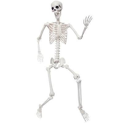 5.9Ft Giant Skeleton Life Size Human Bones with Movable Joints for Halloween Props Decorations