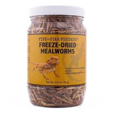 Freeze-Dried Mealworms – High-Protein Treat for Reptiles, Birds & Insect-Eating Pets – 2.6 oz Jar