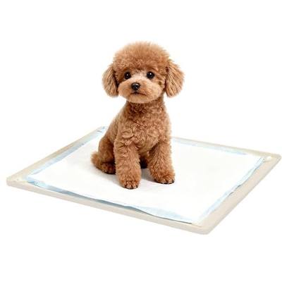 Dog Pee Pad Holder, Silicone Tray, 4-Corner Fixing, 24x16 inch | Foldable, Reusable, Washable, Non-Slip, Waterproof, Leak-Proof Raised Edge, Indoor Floor Protection, Potty Training