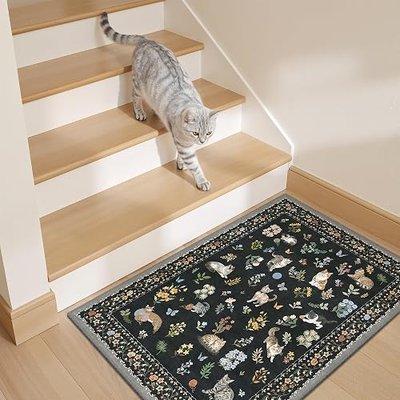 Soalmost 2x3 Cat Rugs for Entryway, Washable Door Mat Animal Soft Rug Black | Floral Small Cute Area Rug Non-Slip Low Pile Throw Rugs for Entrance Kitchen Indoor Front Door Kids Room 2' x 3'