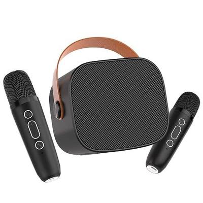 Karaoke Machine for Kids Bluetooth Speaker with 2 Wireless Microphones Voice Effects TF Card Playback Headphone Jack, Portable Mini Singing Toy Gift for Girls Boys Family Party, Black