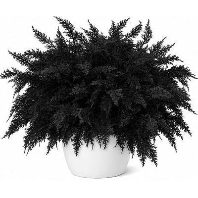 10 Pcs 18" Halloween Black Cedar Pine Picks, Large Artificial Gothic Pine Branches Decor, Realistic Texture Black Pines Stem Sprays for Home Decor DIY Craft Table Centerpiece Garland Complement
