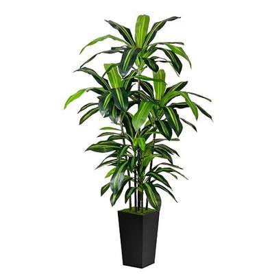 Artificial Plant 6FT Fake Dracaena Tree with Black Tall Planter | Faux Yucca Floor Plant in Pot,Artificial Trees Indoor for Home Office Living Room