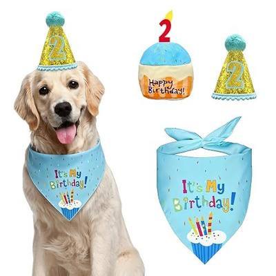 Dog 2st Birthday Gifts Set, Birthday Cake Toy Accessories for Girl Boy Gifts, Blue Hat Headscarf Cake Toy, Suitable for Small, Medium and Large Pets