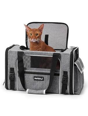 Soft Sided Pet Carrier, Travel Friendly, Small to Medium Cats 15 lbs | Seatbelt Buckles, Luggage Sleeve, Foldable Ventilated, Delta United American Airlines In-Cabin Under Seat Dog Crate Carry Bag