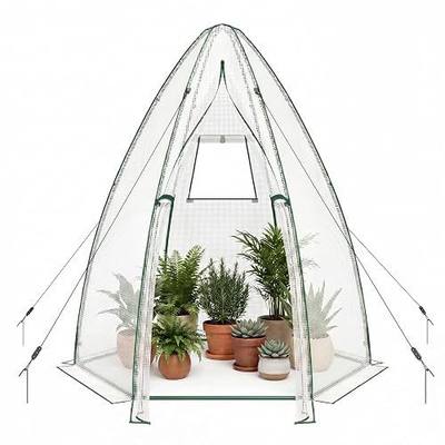 S AFSTAR Portable Mini Greenhouse, Garden Greenhouse W/ All-Weather PE Cover, Roll-up Door, Mesh Window, Outdoor Plant Green-House for Cold & Frost Protection, Garden Tent for Pot Plant (Clear)