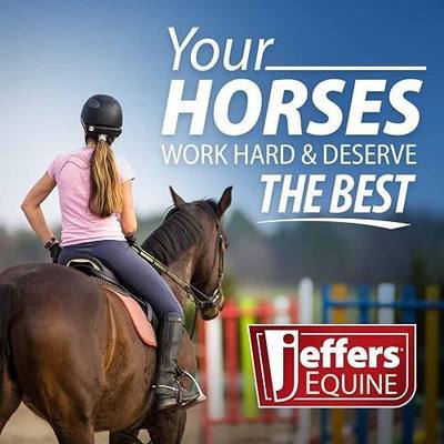Jeffers Equine 2-in-1 Horse Head Hoof Pick with Cleaning Brush, Durable Hoof Cleaner Tool for Horses, Stiff Bristle Grooming Brush, Equine Stable Tack for Daily Hoof Care and Dirt Removal - Green