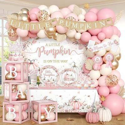 Little Pumpkin Baby Shower Decorations Girls, Pink Fall Autumn Baby Shower Party Supplies, A Little Pumpkin is on The Way Plates Napkins Banner Backdrop Balloon Box Cake Topper