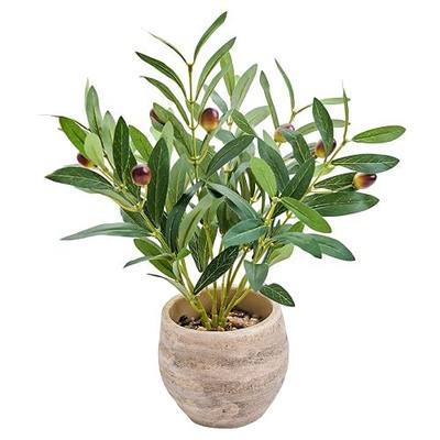 14" Small Artificial Potted Plant with Decorative Branches & Fruit | Natural Branches & Fruit Detail , Compact Tabletop Plant , Rustic Decorative Pot , Desk, Shelf & Home Décor