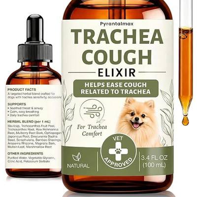 Collapsed Trachea Support for Dogs, Promote Tracheal & Respiratory Health, Trachea Cough Elixir, Airway & Throat Gold Drops for Small Breeds, Canine Cough Relief, Natural Formula 3.4 fl oz