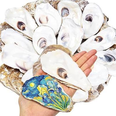 SINKOO 20PCS Flat Oyster Shells 4"-6", Large Oyster Shells for Crafts, Cleaned Natural Oyster Shells for Decoupage, Christmas Ornaments, Painting DIY, Vase Filler, Wedding, Party, Home Decor
