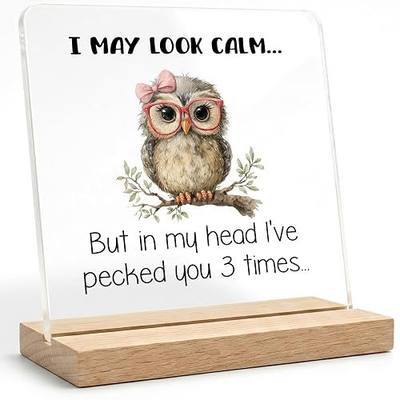Owl Lovers Decor Gifts for Women,I May Look Calm Acrylic Decor Sign,Funny Owl Decorations for Home Bedroom Office