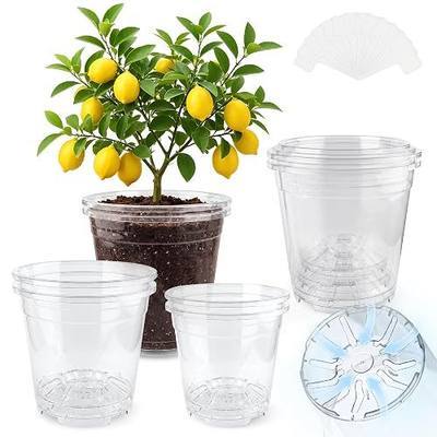 12 Pack Clear Nursery Pots with Drainage Holes | 5/6/6.5/7.5/8/10 Inch Large Sturdy Plastic Planters, Reusable for Indoor & Outdoor Seed Starting, Transplanting & Repotting