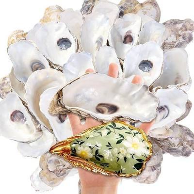 SINKOO 20PCS Concave Oyster Shells 4"-6", Large Oyster Shells for Crafts, Cleaned Natural Oyster Shells Bulk for Christmas, Painting DIY Crafts, Vase Filler, Beach Themes and Sea Shells for Crafts