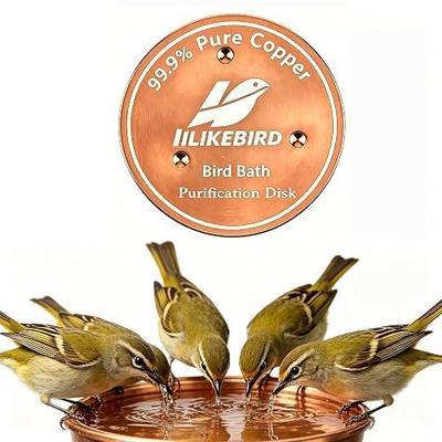 Bird Bath Copper Disk 99.9% Pure Copper 1 Pack | 3-point non-slip support, 0.6mm thick, copper ion, algae control, all-season, universal fit, tool-free