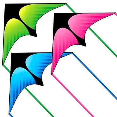 Large Delta Kite Set for Kids Age 4-12, Easy to Fly Kites for Adults | 63*31in Beginnner Single Line Gradient Kite for Kids Age 4-12, Each Comes with 300Ft String Handle, Seaside Vacation Use
